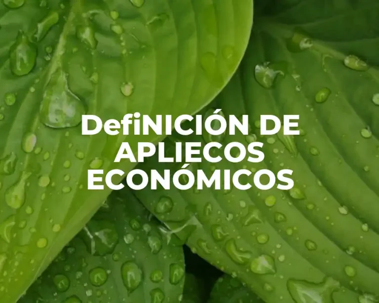 DefiNICIÓN DE APLIECOS ECONÓMICOS