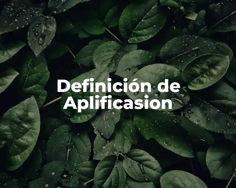 Definición de Aplificasion