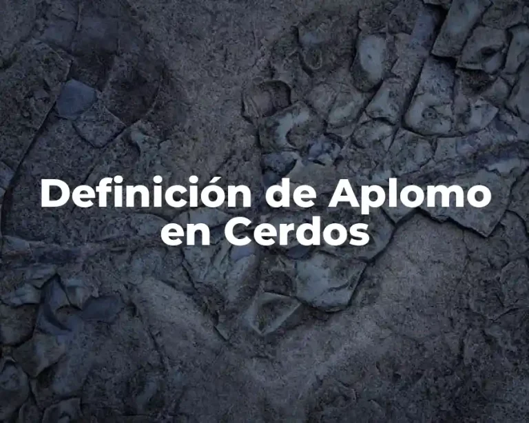 Definición de Aplomo en Cerdos