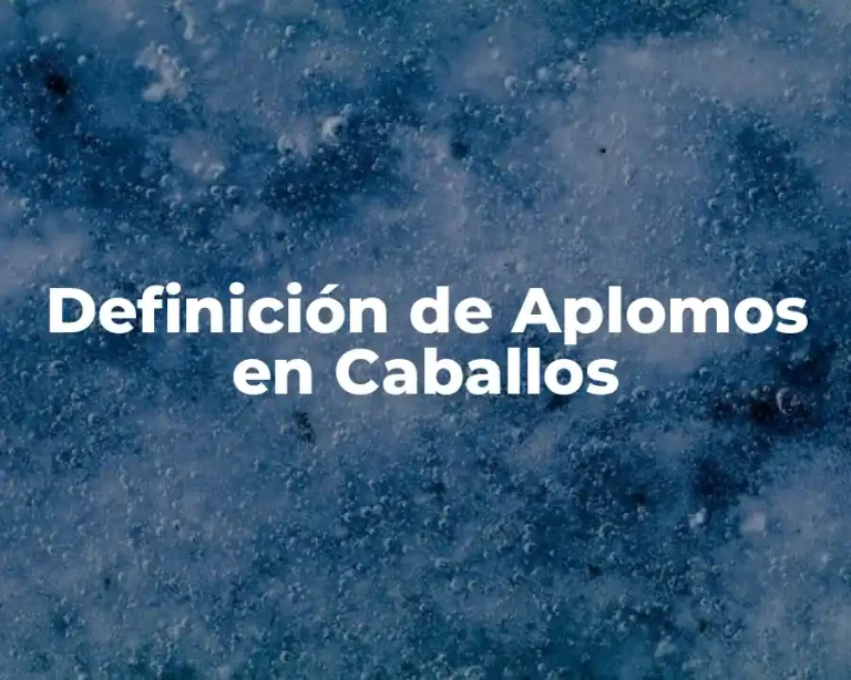Definición de Aplomos en Caballos