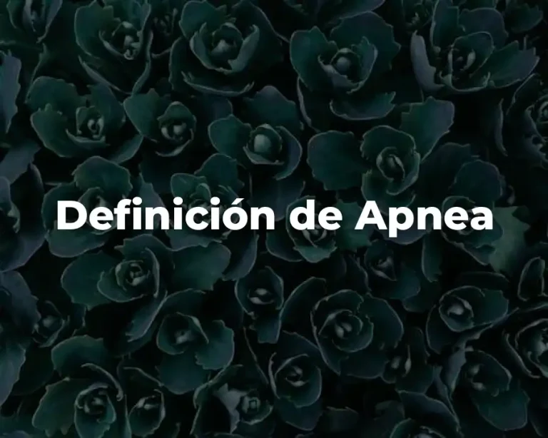 Definición de Apnea