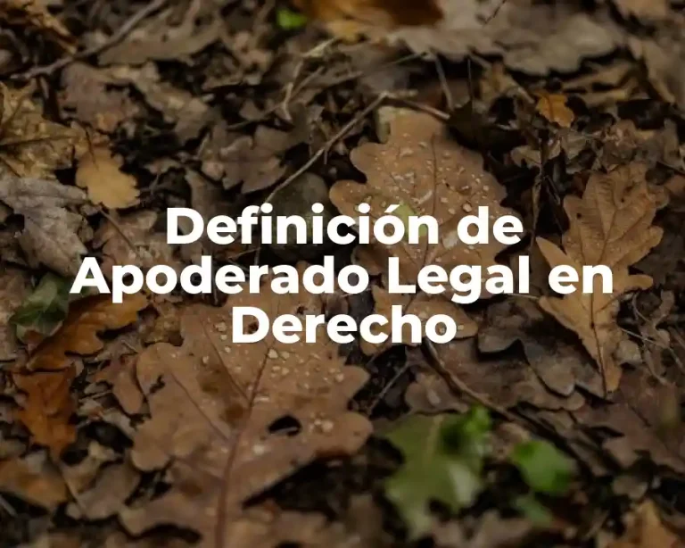 Definición de Apoderado Legal en Derecho