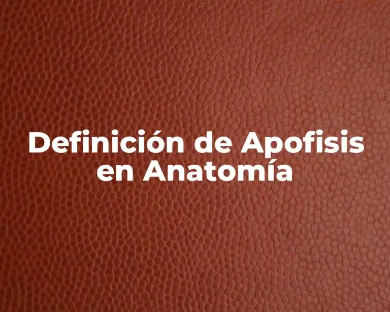 Definición de Apofisis en Anatomía
