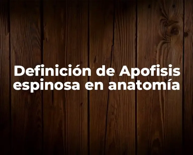 Definición de Apofisis espinosa en anatomía