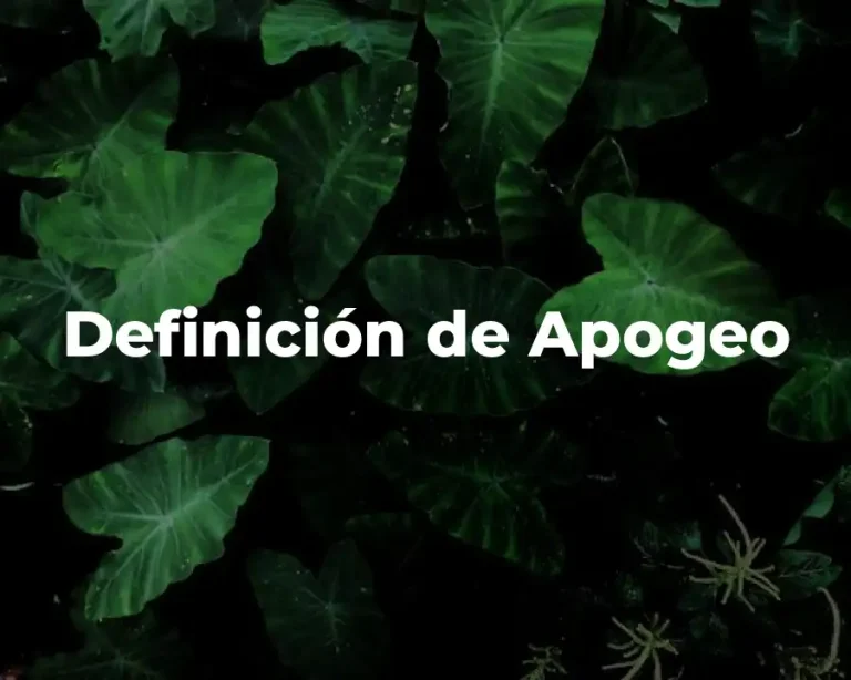 Definición de Apogeo