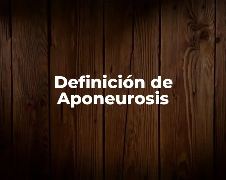 Definición de Aponeurosis