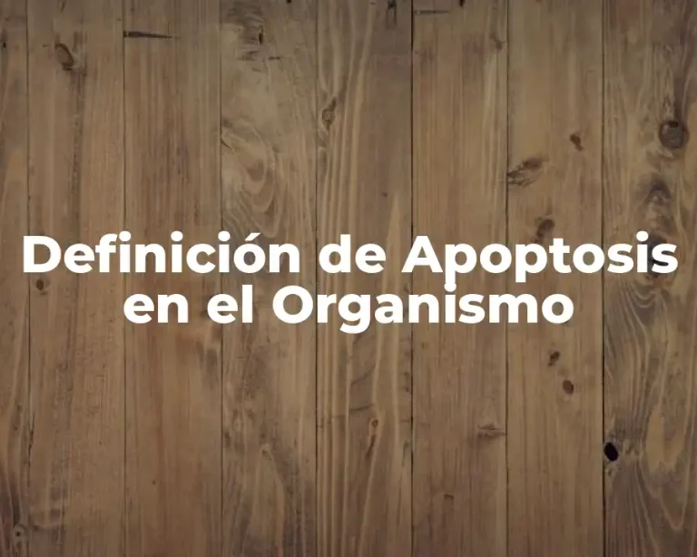 Definición de Apoptosis en el Organismo