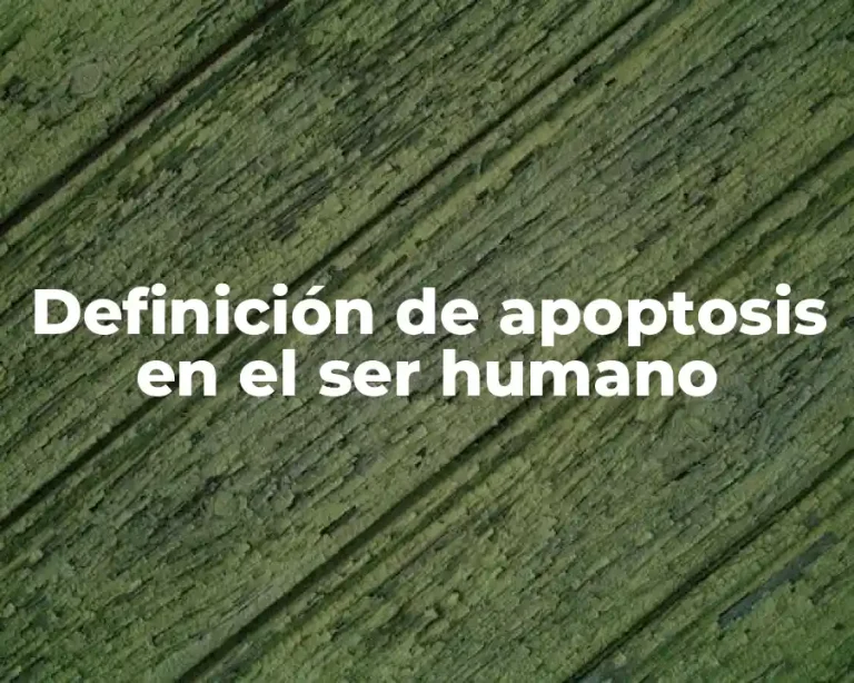 Definición de apoptosis en el ser humano