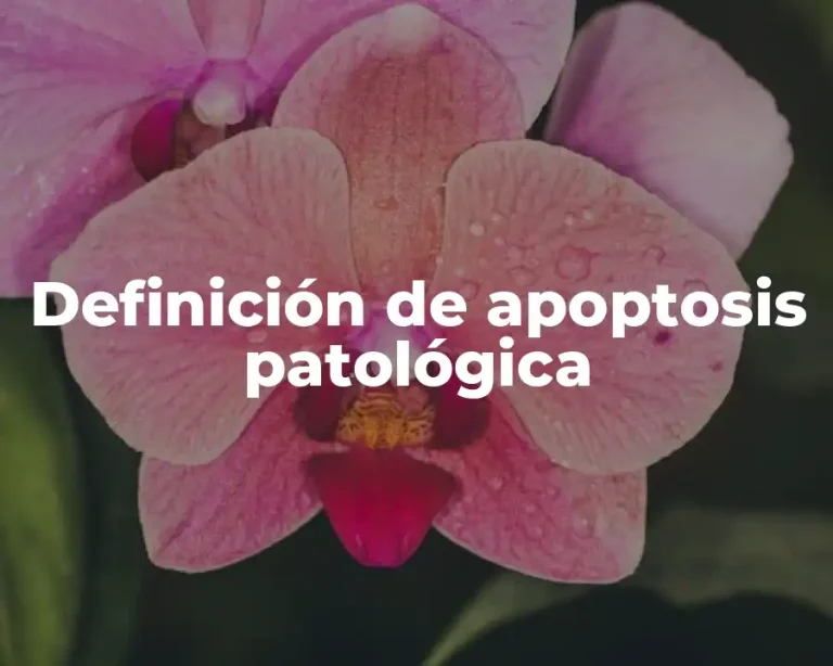 Definición de apoptosis patológica