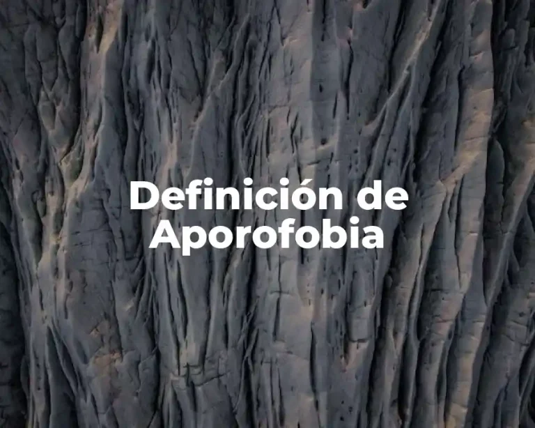 Definición de Aporofobia
