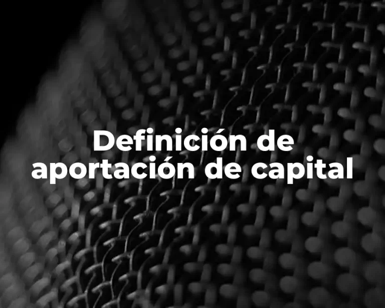 Definición de aportación de capital