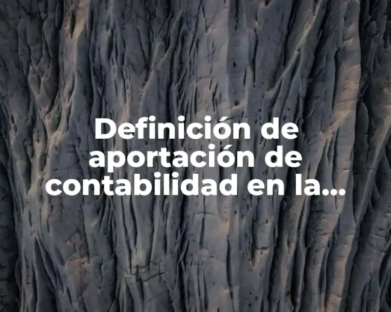Definición de aportación de contabilidad en la administración