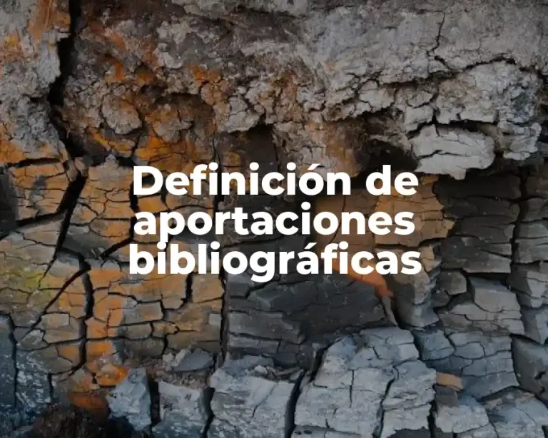 Definición de aportaciones bibliográficas