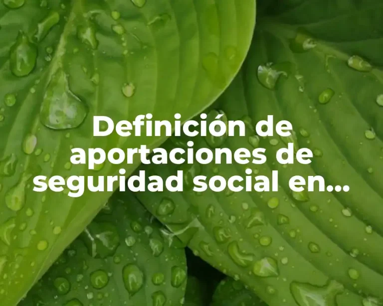 Definición de aportaciones de seguridad social en México