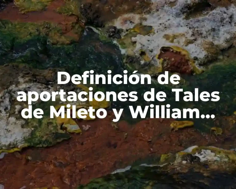 Definición de aportaciones de Tales de Mileto y William Gilbert