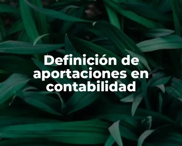 Definición de aportaciones en contabilidad