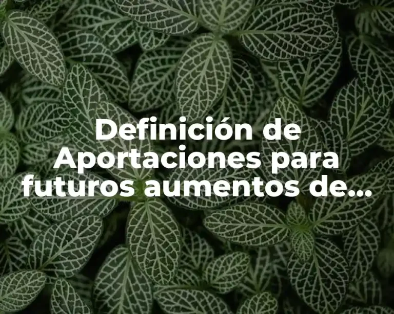 Definición de Aportaciones para futuros aumentos de capital