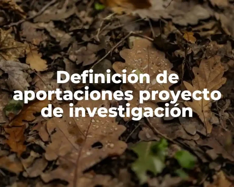 Definición de aportaciones proyecto de investigación