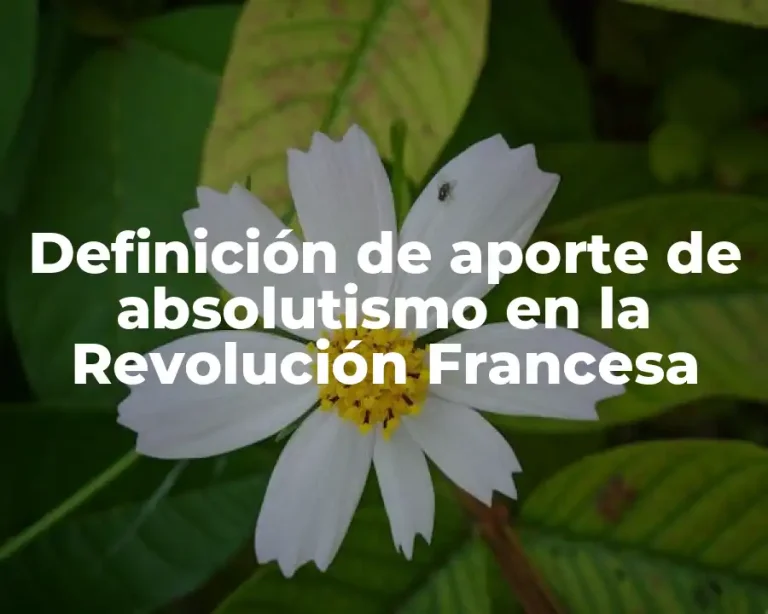 Definición de aporte de absolutismo en la Revolución Francesa