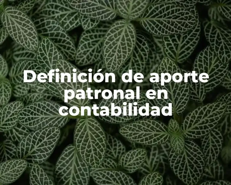 Definición de aporte patronal en contabilidad