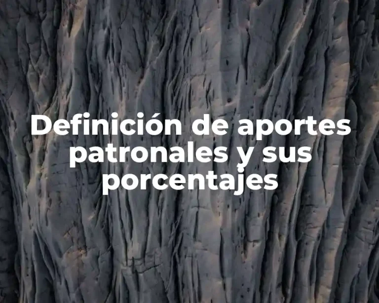 Definición de aportes patronales y sus porcentajes