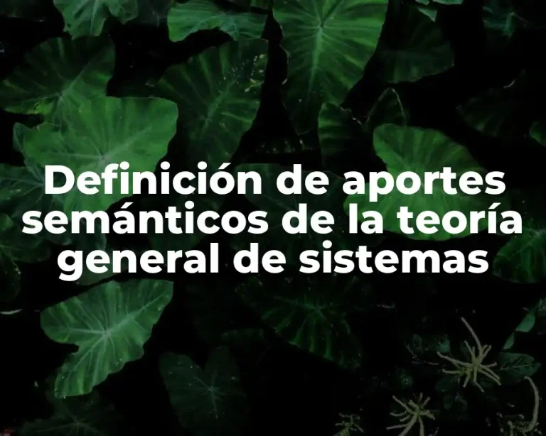 Definición de aportes semánticos de la teoría general de sistemas