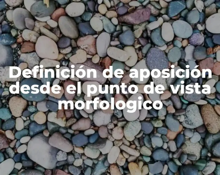 Definición de aposición desde el punto de vista morfologico