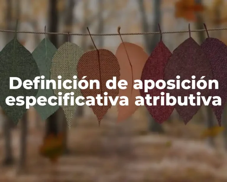 Definición de aposición especificativa atributiva