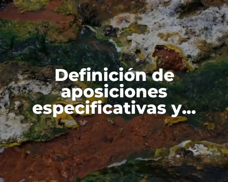 Definición de aposiciones especificativas y explicativas