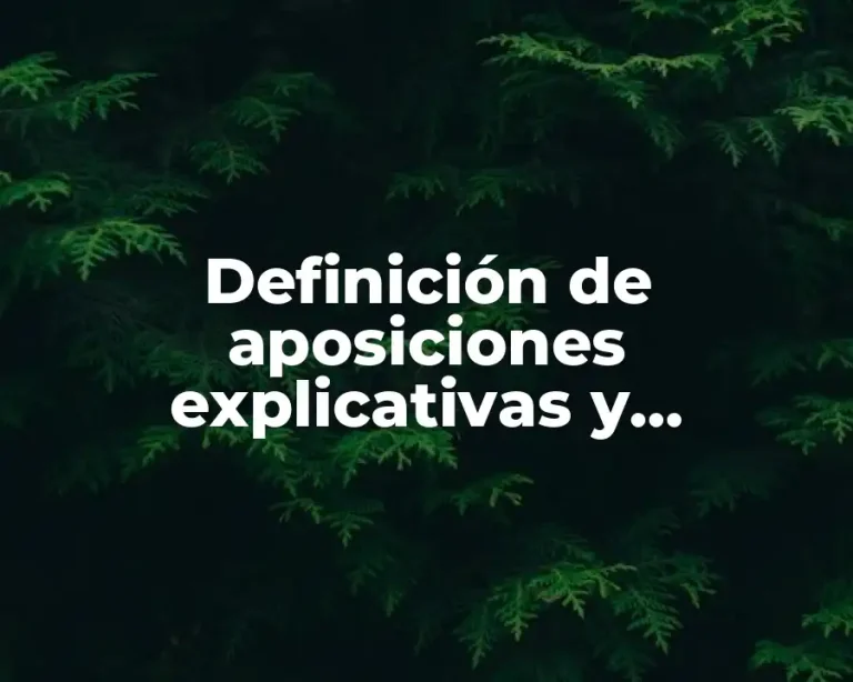 Definición de aposiciones explicativas y especificativas