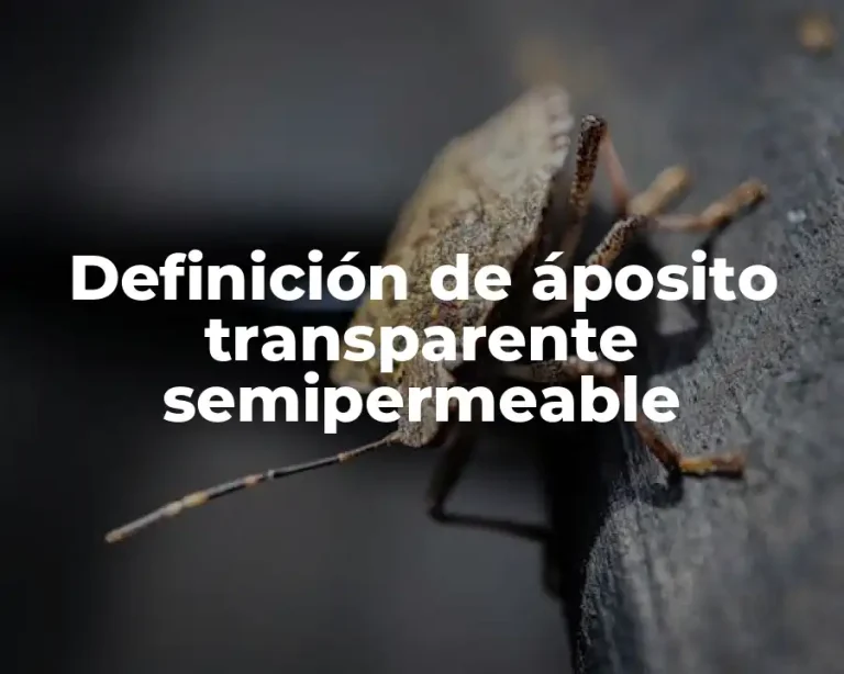 Definición de áposito transparente semipermeable