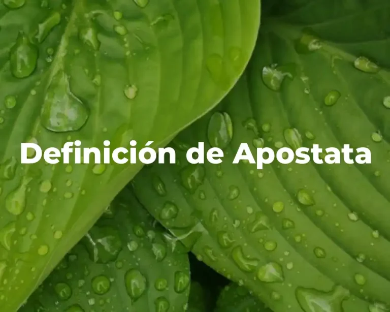 Definición de Apostata