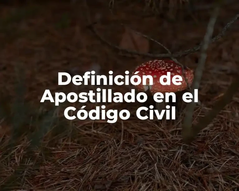 Definición de Apostillado en el Código Civil
