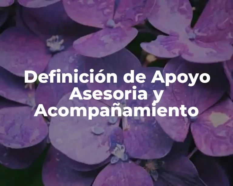 Definición de Apoyo Asesoria y Acompañamiento