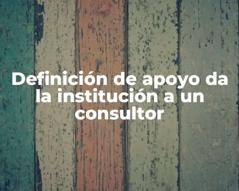 Definición de apoyo da la institución a un consultor
