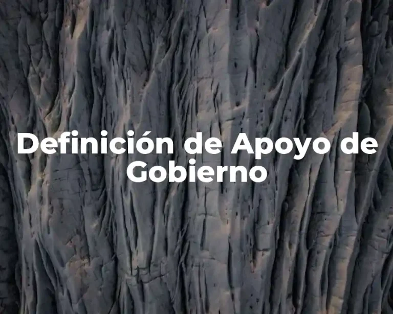 Definición de Apoyo de Gobierno