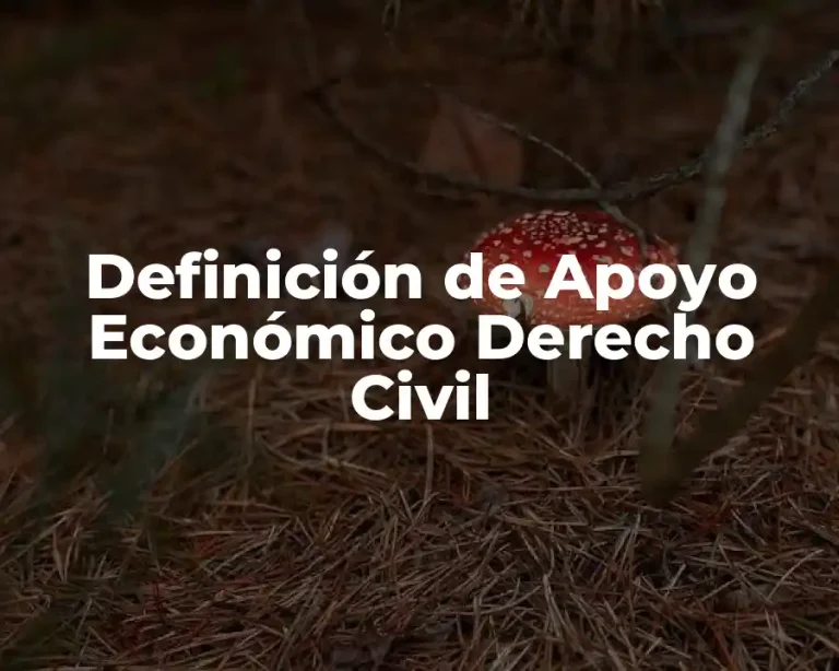 Definición de Apoyo Económico Derecho Civil