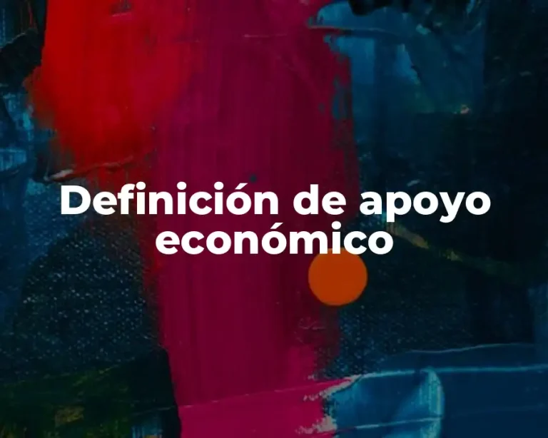 Definición de apoyo económico