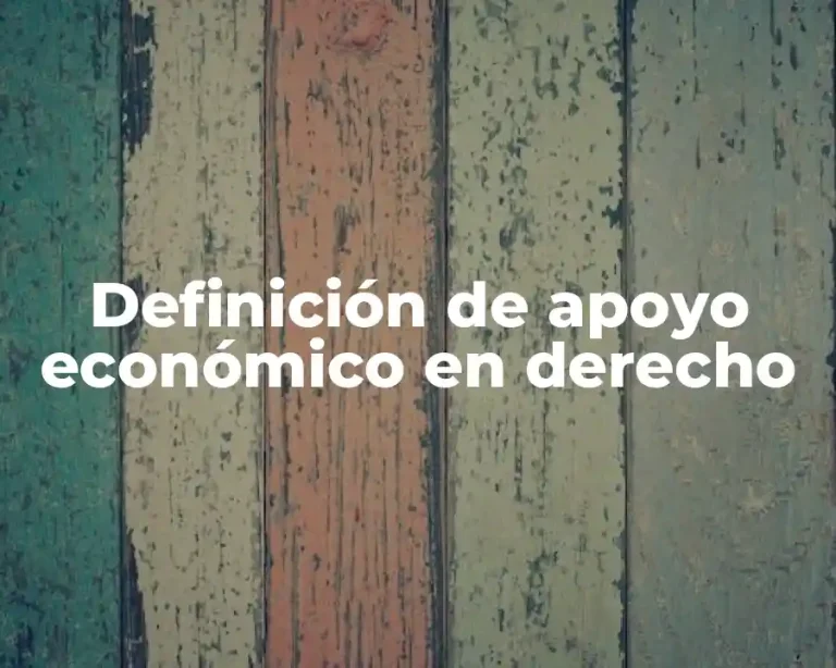 Definición de apoyo económico en derecho