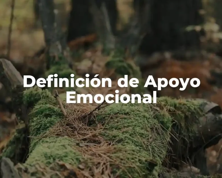 Definición de Apoyo Emocional