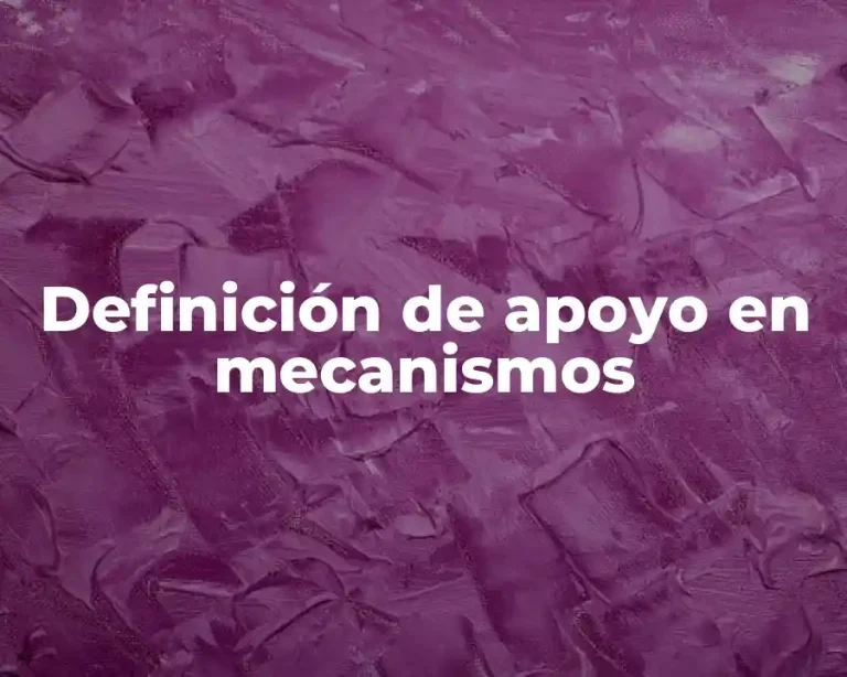 Definición de apoyo en mecanismos