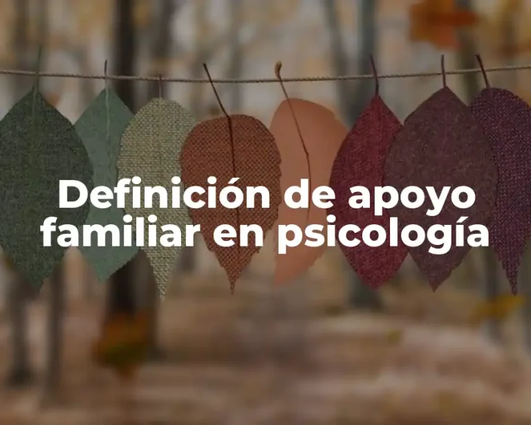 Definición de apoyo familiar en psicología