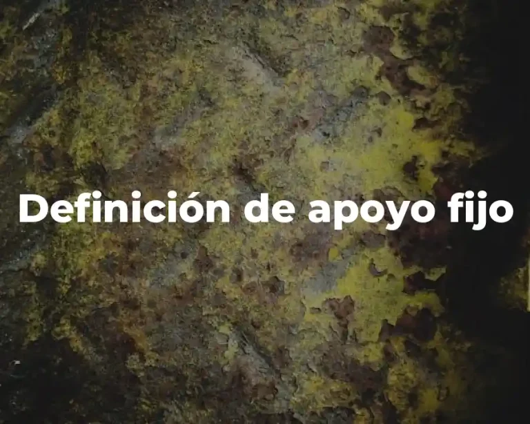 Definición de apoyo fijo