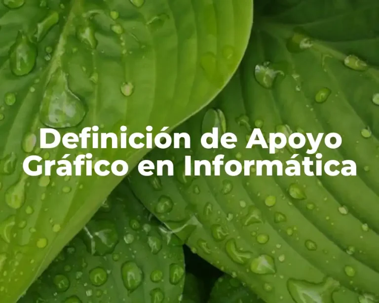 Definición de Apoyo Gráfico en Informática