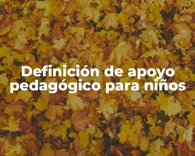 Definición de apoyo pedagógico para niños