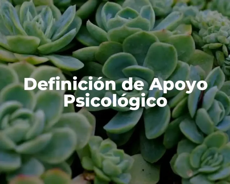 Definición de Apoyo Psicológico