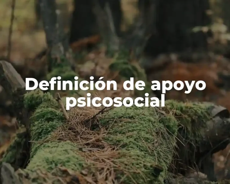 Definición de apoyo psicosocial