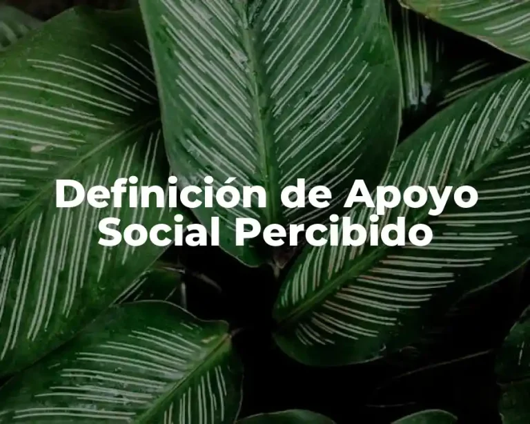 Definición de Apoyo Social Percibido