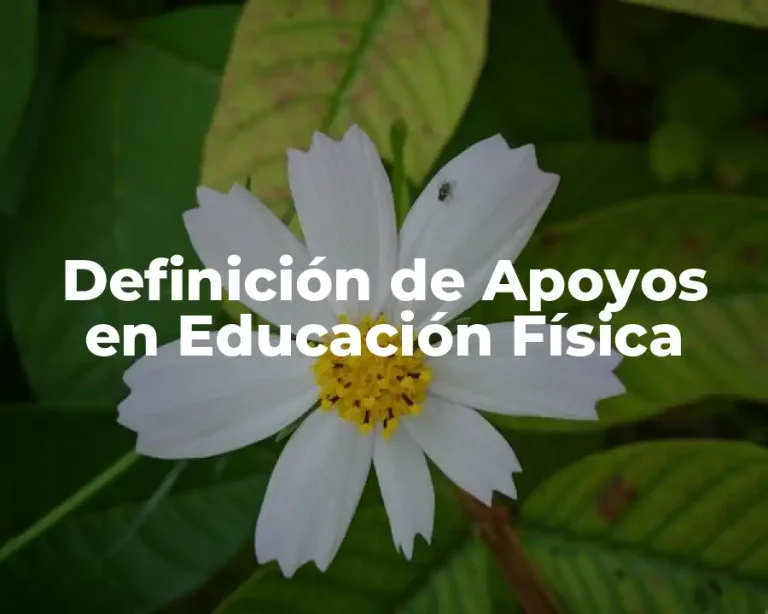 Definición de Apoyos en Educación Física