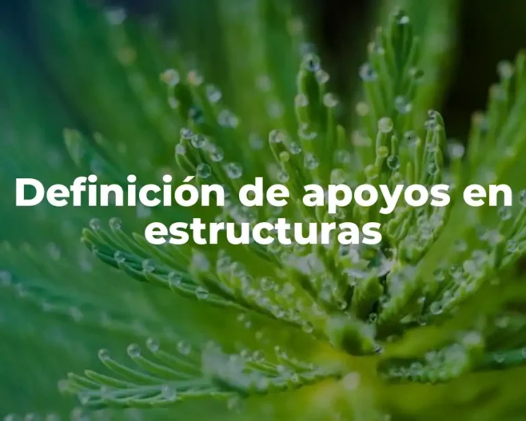 Definición de apoyos en estructuras